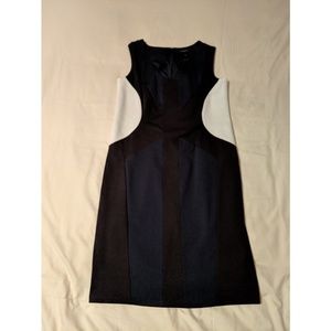 Ann Taylor Dress